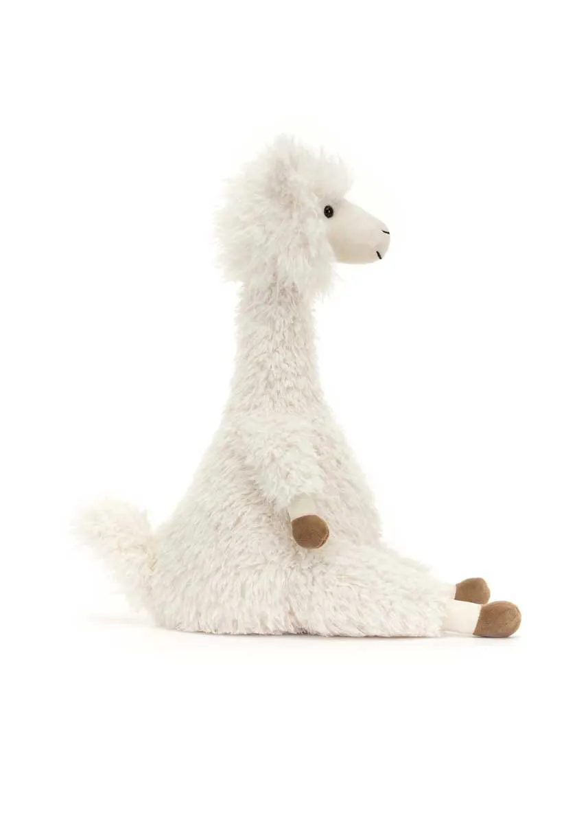 Alonso Alpaca