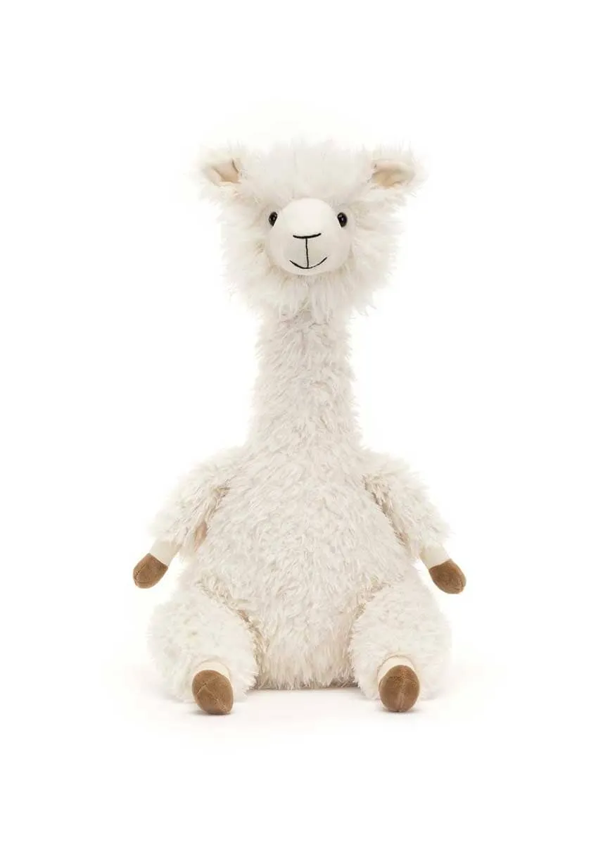 Alonso Alpaca