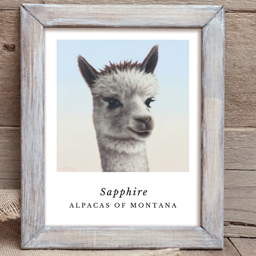 Alpaca Art Prints by Sarah Becktel