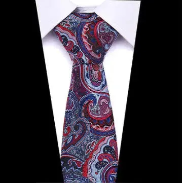 Necktie Multi Color Paisley For Men's